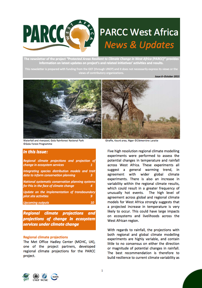 Newsletter number 6